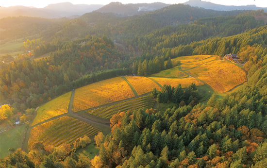 Coast Range Estate arial view